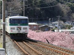 目的地の河津駅には定刻の12:00に到着しました。
終点まで乗車したかったのですが、スケジュールの都合でここで下車です。