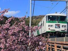 最後に上りの踊り子を撮影するために白田川へ移動します。
国道から伊豆大島を絡めて撮影しようと思ってましたが、河川工事でユンボが2台、川の中で作業していたので遠景はあきらめて線路に寄ると河津桜と撮影できる場所があったのでこちらで撮影してこの日の撮影を終了しました。