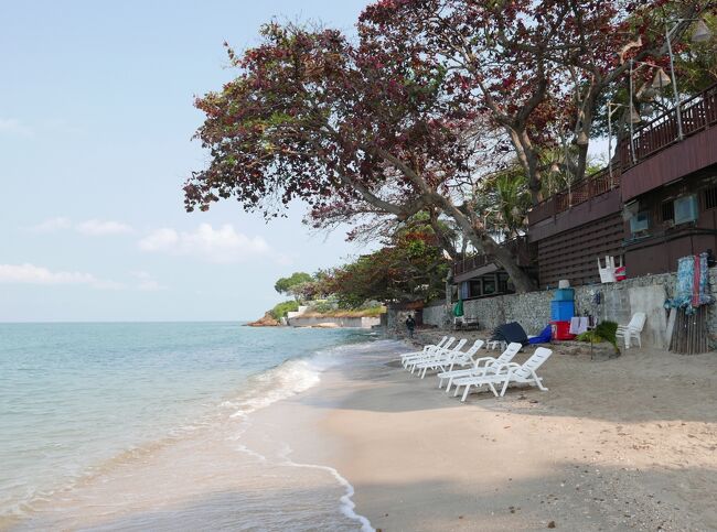 こちらがパタヤ側<br />持参したビールや唐揚げをここで座り（100B）食べて30程泳ぐが海水は青く綺麗に見えるが透明度はありませんでした。