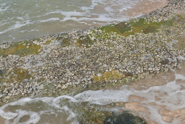 少し歩いて行くと