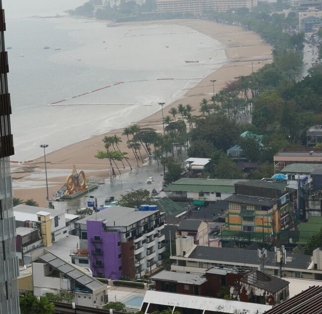 ビーチロードも冠水そして毎度のように砂浜に大きな爪跡が残る。<br />【植物は嬉しいだろうな】