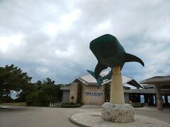 「美ら海水族館」到着。なんだかんだ遅くなって16時ごろ到着。
本当はここに来る前に「本部(もとぶ)そば街道」あたりのお店で沖縄そばを食べたかったんだけど、予約してある夕飯時間の事を考えるともう時間的に難しかったので断念～

美ら海水族館公式HP
https://churaumi.okinawa/