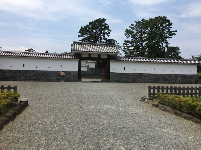 小田原城に入ります。