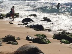 ウミガメさんを見にラニアケアビーチにやってきました。
岩に紛れてホヌさん発見！