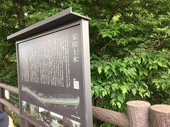 この日は、数年かけて玉川上水の川沿いを歩き続けた、最後の回でした。
