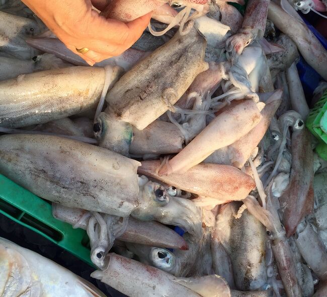 イカ3Kg．．．お買い上げ～　　1Kg 260B　×　3　=　780B　≒　2730円　<br />（メーバーンが田舎に帰る土産で買ったようだ）