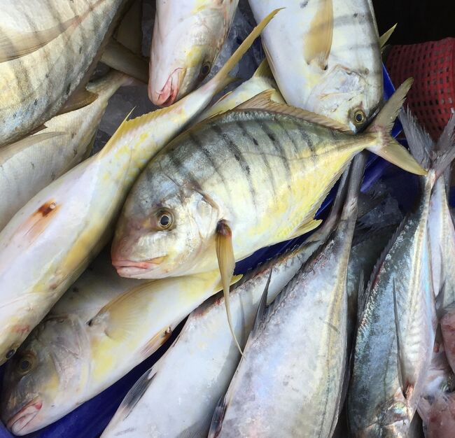 早朝にバンサレー市場に来ました。