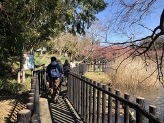 池に沿って、遊歩道を歩いて