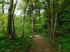 十和田湖畔から十和田神社へと向かう際、細長く続く「開運の小道」を通りました。6つの祠にそれぞれ神様が祀られ、鳥居の上部に神様の名前が書かれていました。