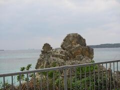 崎本部のゴリラチョップにやってきました。
ポイント名の由来は写真の通り。