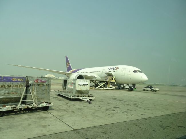 タイ航空の機体が見えてきた。
