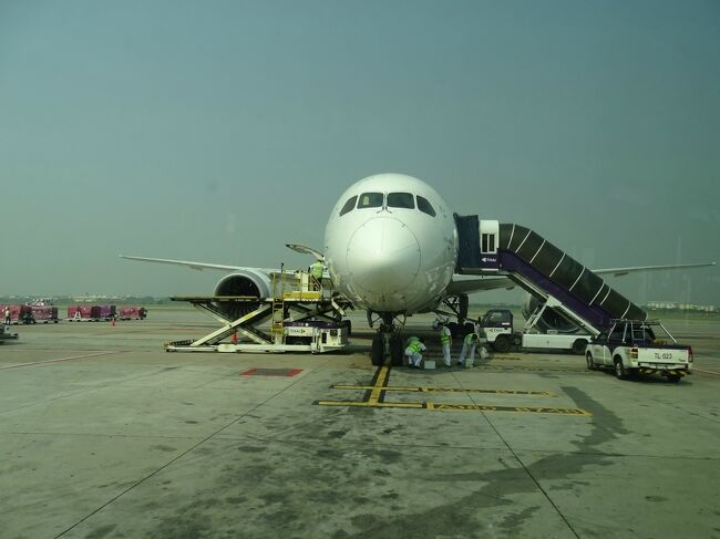 正直、バスでの移動は面倒くさいのだが、ボーディング・ブリッジでは見れない角度から飛行機を見れるのは楽しい。