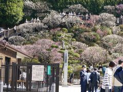 池上梅園到着
入るのに検温並んでる

入場料１００円
１年に１回の混雑で慣れていないようで
並ぶのか、並ばないのか、交通整理が出来てないから
直接受付行ったら、並んでんです！と怒られ、汗