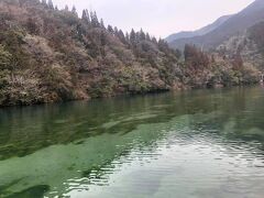 モネの池から北へ徒歩10分ほど、洞戸ダム近くの板取川の流れ。右側に当たる瀬に近いほど藻が生えてしまってはいるが、こちらの透明度も高い。右が上流方向。