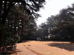 １万坪の敷地庭園....芝生の庭園