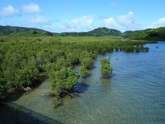 浦内川下流方向