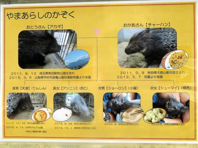 最速 動物園 名前 面白い 最速 動物園 名前 面白い
