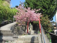 走り湯から階段をひたすら登った場所にある
「走り湯神社」