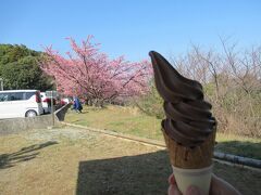 河津桜満開の「一夜城ヨロイヅカファーム」
でソフトクリームとケーキを食べて
帰ります。

