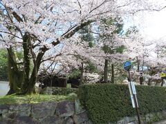 市バスの停留所　

「知恩院三門前」