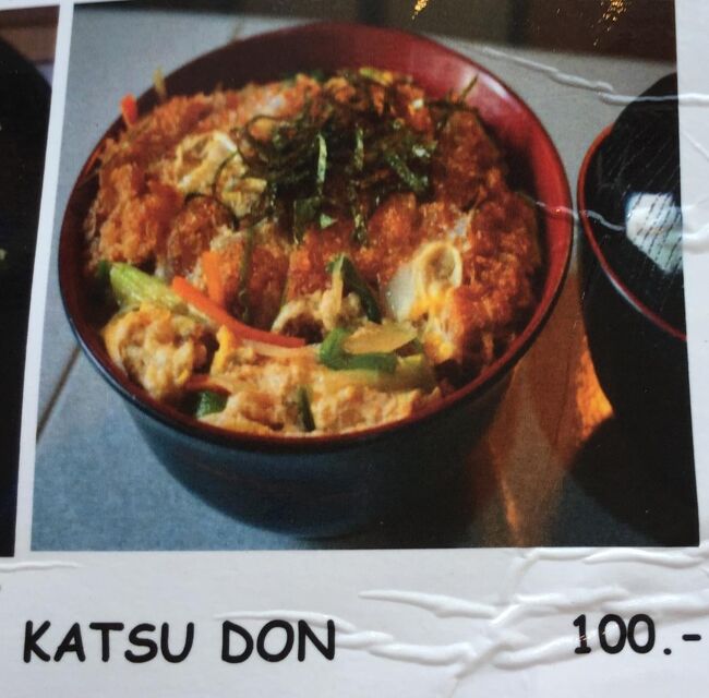 注文したのがカツ丼　100B　