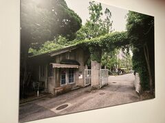 京都国立近代美術館開催の「分離派建築会100年展ー建築は芸術か？」。撮影可の展示室にあった写真パネルです。森田慶一設計の京大農学部正門。現存しているので、見に行きたい！2番目の展示室以降は撮影不可でした。