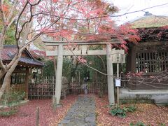 「八瀬駅前」のバス停から１つ目「上橋」で下車して蓮華寺に来ました。

歩いても15分とかからないけど、バス二日券があるので使います。
これで元は取れるかなぁ～。

小さな山門をくぐると一面に紅葉が広がっていました。

