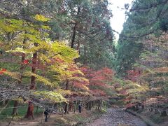 とても広いので川沿いに歩きましょう。