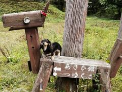 つゆくささんで愛犬きらちゃんとはお別れです。（涙）