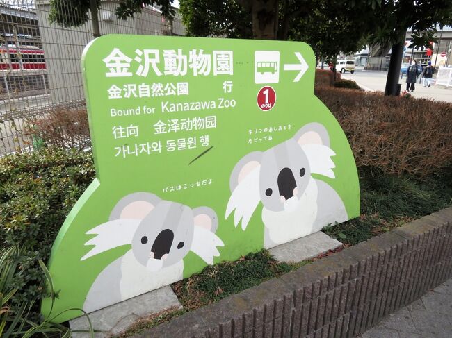 日帰りできる横浜の動物園2園に2泊2日 1 横浜前泊グルメ 金沢動物園 八景島シーパラダイスへのアクセスと園内いろいろ グッズみやげ 横浜 神奈川県 の旅行記 ブログ By まみさん フォートラベル 日帰りできる横浜の動物園2園に2泊2日 1 横浜前泊グルメ 金沢動物園 八景島シーパラダイスへのアクセスと園内いろいろ グッズみやげ 横浜 神奈川県 の旅行記 ブログ By まみさん フォートラベル