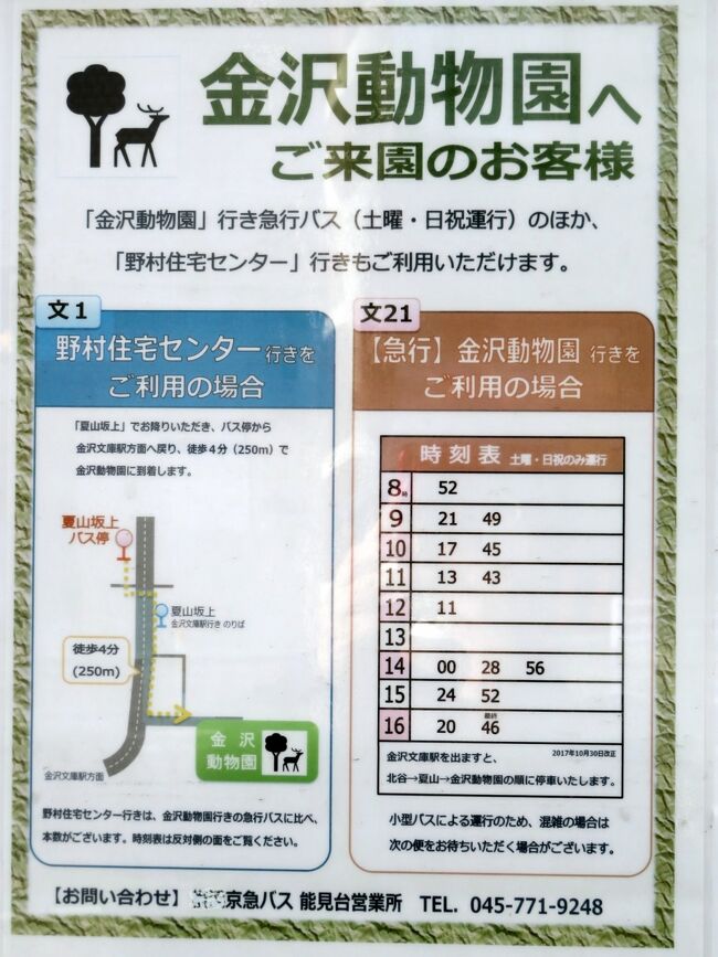 日帰りできる横浜の動物園2園に2泊2日 1 横浜前泊グルメ 金沢動物園 八景島シーパラダイスへのアクセスと園内いろいろ グッズみやげ 横浜 神奈川県 の旅行記 ブログ By まみさん フォートラベル 日帰りできる横浜の動物園2園に2泊2日 1 横浜前泊グルメ 金沢動物園 八景島シーパラダイスへのアクセスと園内いろいろ グッズみやげ 横浜 神奈川県 の旅行記 ブログ By まみさん フォートラベル