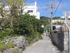 昨晩のうちに座間味島に到着。
座間味島の座間味港から座間味村役場へのメインストリート。
いかにも離島の雰囲気のある街並みです。

今日は青空の広がるいい天気。
絶好のホエール・ウオッチング日和になりそうです。