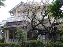 「旧山崎家別邸」
お庭から洋館を望む