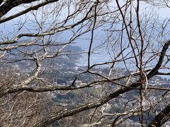 梅林を見下ろす絶景スポットをさらに登ると幕山山頂へゆくハイキングコースです。結構な勾配の山道をしばらく登ると右手に真鶴半島が見えてきました。