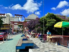 【リベルダージ（東洋人街）のジャカランダ】

ある晴れた日に、リベルダージ地区の東洋人街を歩いてみる...

