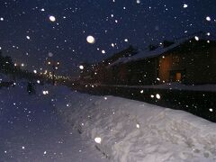 雪景色の小樽運河
想像以上に寒かったのですぐさま撤退しました