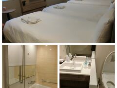 有明からまた都バスで有楽町へ。マロニエゲートの裏にある無印良品に行く。冷凍のキンパを探していたんだけど、有明にはなくて・・・ここもゼロ。夜ご飯にできるキッシュとちまきを買いました。

JRで品川まで行き、旅友はエキュート品川で晩御飯調達。ちょうど駅に葉山女子旅きっぷの案内があったのでもらい京急で天空橋へ。

前にマカオへ行くときもお世話になった京急EXイン。きれいでユニットバスでないのがお気に入り。