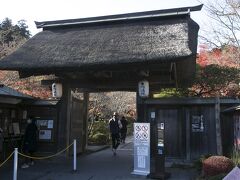 松島にはもう一つお寺があります。ここは円通院。紅葉が綺麗そうでしたが、時間切れでまた次の機会に。