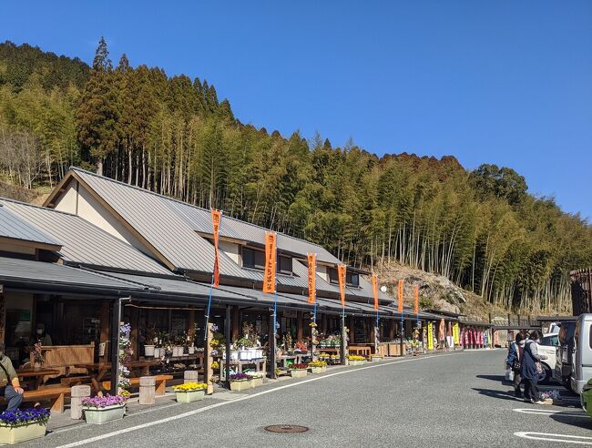 九州縦断 国道3号線の旅 女一人でひたすらドライブ 福岡 前編 福岡県の旅行記 ブログ By ヒバリさん フォートラベル 九州縦断 国道3号線の旅 女一人でひたすらドライブ 福岡 前編 福岡県の旅行記 ブログ By ヒバリさん フォートラベル