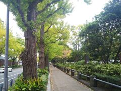 横浜山下公園通り