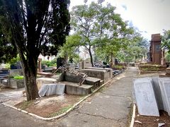 【サンパウロ　カルデアウ墓地（Cemiterio Sao Paulo Cardeal）】

お墓ってやっぱ、あんまり気持ち良く無いものですよね...

ただ、ここは、かなり高級な（お金持ち）が入るお墓なので、