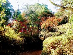 それでは、天覧山にのぼりましょう。