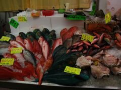 南の海は色鮮やかな魚が多い気がします。