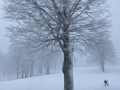 滑らない雪、ブレーキがかかる上の平