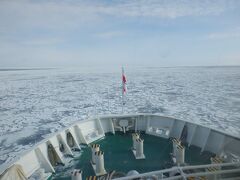 しばらく行くと流氷エリアです　白ーい　北の方から流れてきたってすごいですね　何キロの旅人？