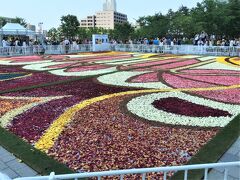 ベルギー花の絨毯