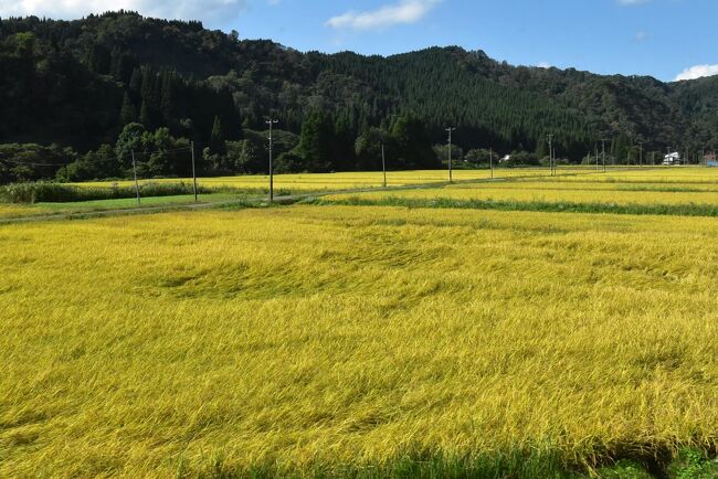 【サボ　行先板】（表）米沢⇔坂町（裏）小国⇔坂町 サボ 行先板】（表）米沢⇔坂町（裏）小国⇔坂町