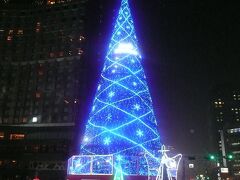 市庁舎広場内にあるクリスマスツリー
韓国ではクリスマスが過ぎても装飾類が
普通に展示されてました
又、広場内には冬季限定のスケートリンクもあります