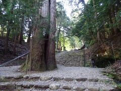 　天岩戸神社から750ｍ(徒歩10分)、「元伊勢内宮皇大神社：拝観自由」の入り口に到着。深い木立につつまれて神世のままの神秘と霊気がただよう参道は約300mで、総数220段の自然石の石段になります(少し大変です)。そしてその参道の終わり付近(残り約50m)の参道真ん中にあるご神木は、「癌封じの樹」とも呼ばれていて、触れると病気を吸い取ってくれると言われています。コロナには効くかな？