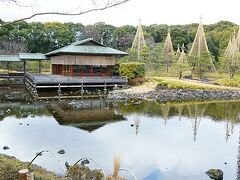 今年の最初の福よせ雛は、白鳥庭園。和庭園が素敵なふんいきの白鳥庭園です。その中の和カフェで福よせ雛たちが和スイーツを楽しんでいました。
